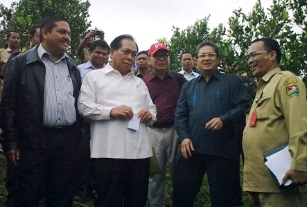 Rp4 Triliun Impor Jeruk untuk Atasi Kebutuhan Nasional